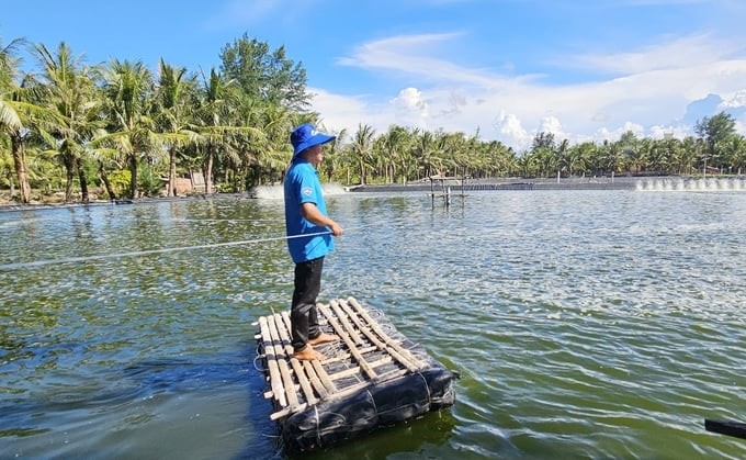 Applying high technology to shrimp farming on sand has helped farmers feel secure in production. Photo: Tam Phung.