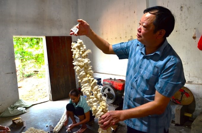 Mr. Thang is next to a string of seed cocoons. Photo: Duong Dinh Tuong.