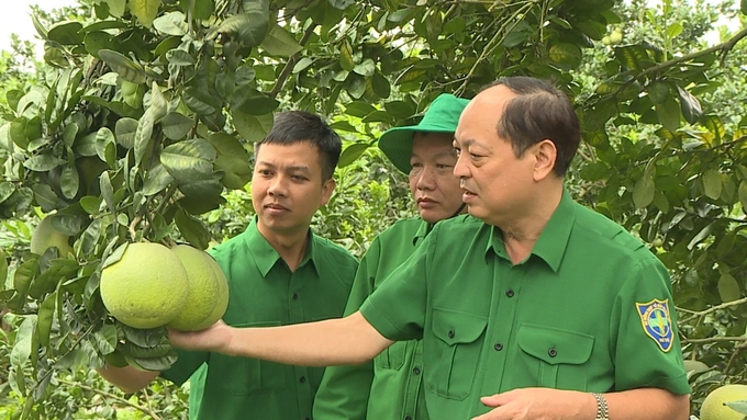 Ông Phan Văn Đạo - Chi cục trưởng Chi cục Trồng trọt và BVTV tỉnh Phú Thọ. Ảnh: Hoàng Anh.