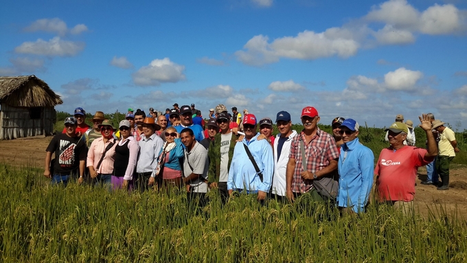 Lớp học về kỹ thuật thâm canh lúa của chuyên gia Việt Nam cho cán bộ sản xuất lúa tại Granma Cuba.(Ảnh tư liệu do PGS.TS Lê Vĩnh Thảo cung cấp).