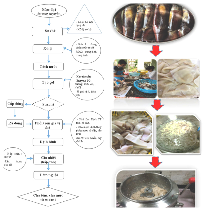 Quy trình công nghệ hoàn chỉnh của các nhà khoa học thuộc Viện Nghiên cứu Hải sản. Ảnh: VNCHS.