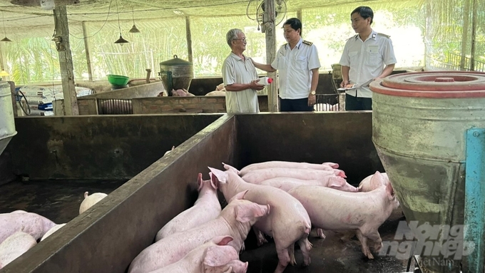 Ngoài công tác kiểm tra, kiểm soát việc sử dụng kháng sinh cấm trong chăn nuôi tại các cửa hàng kinh doanh, công tác quản lý tại nơi sản xuất là các trang trại, hộ nuôi cũng đóng vai trò quan trọng. Ảnh: Kim Anh.