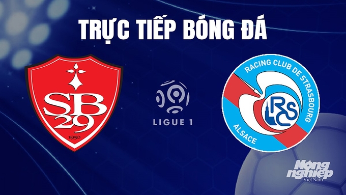 Trực tiếp bóng đá Ligue 1 (VĐQG Pháp) 2023/24 giữa Brest vs Strasbourg hôm nay 8/12/2023