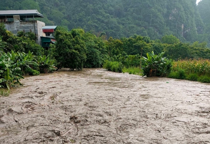 Mưa lớn đã gây lũ trên suối qua thị trấn Pác Miầu, huyện Bảo Lâm, tỉnh Cao Bằng.