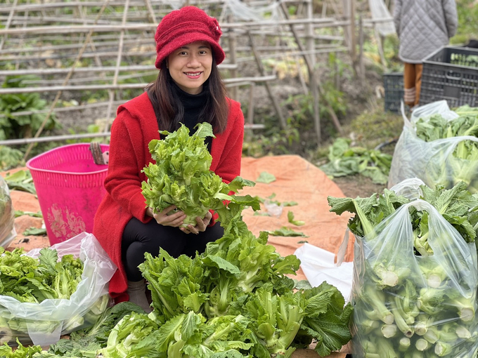 Visitors to Mu Cang Chai are very fond of the dish of stone sprouts. Photo: Thanh Tien.