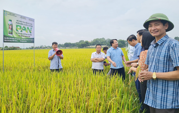 Hệ thống thủy lợi được đầu tư, nâng cấp đồng bộ góp phần kiến tạo nên những mùa vàng bội thu cho Nghệ An. Ảnh: Việt Khánh.