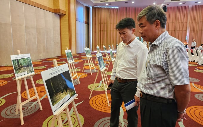 Conference participants viewing photographs of various types of wildlife in special-use forests and protection forests. Photo: Quang Yen.