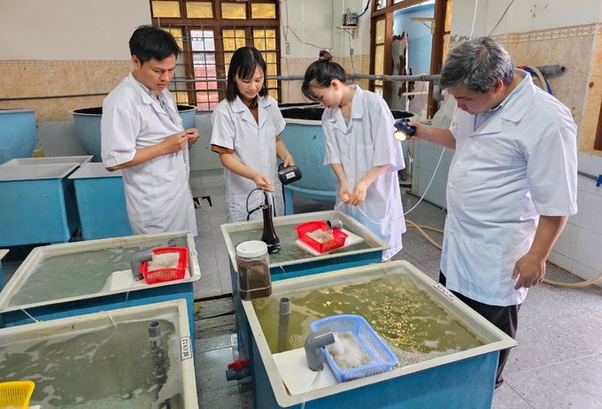 Các nhà khoa học Viện III bố trí thí nghiệm nuôi cá chẽm để xác định tải lượng chất thải trong quá trình nuôi biển. Ảnh: KS.