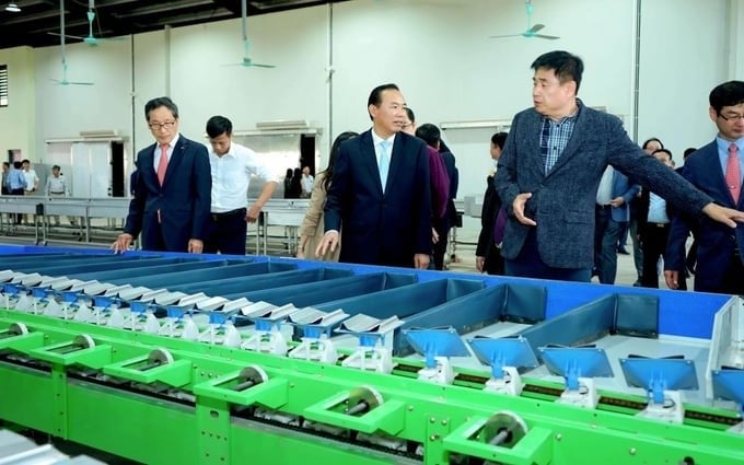 Deputy Minister of Agriculture and Rural Development Phung Duc Tien (middle) visits the carrot pre-processing line of Duc Chinh Agricultural Service Cooperative. Photo: VAAS.