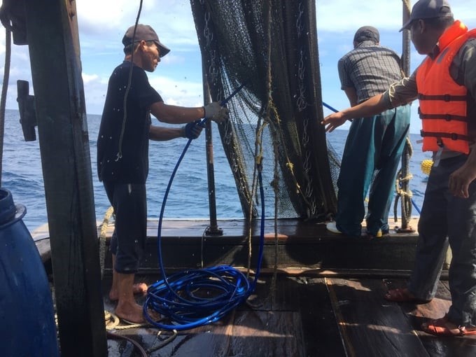 Assessing seafood resources in the common fishing area in the Gulf of Tonkin is the most important scientific basis in negotiations to adjust fishing power. Photo: Dinh Muoi.