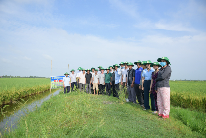 Nông dân đánh giá cao mô hình và đồng tình hưởng ứng nhân rộng quy trình giảm phân bón hóa học trong những vụ tới. Ảnh: Diễm Trang.