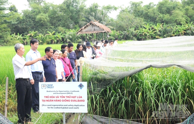 Các đại biểu tham quan khu nhà lưới bảo tồn nguồn gen và trẻ hóa 800 giống lúa mùa đang được thực hiện tại Trang trại lúa mùa Tư Việt. Ảnh: Trung Chánh.