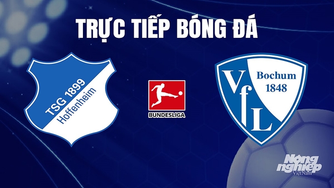 Trực tiếp bóng đá Bundesliga (VĐQG Đức) 2023/24 giữa Hoffenheim vs Bochum hôm nay 9/12/2023