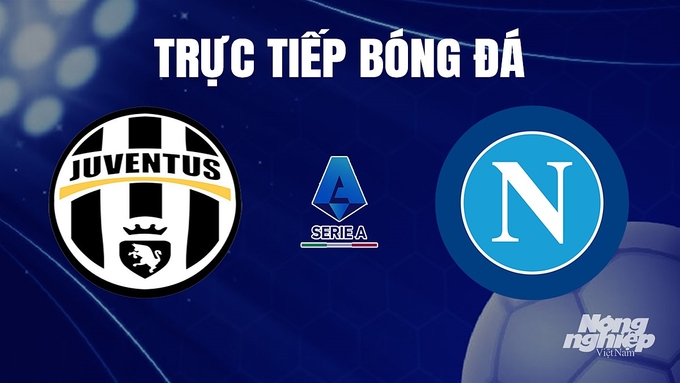 Trực tiếp bóng đá Serie A 2023/24 giữa Juventus vs Napoli hôm nay 9/12/2023