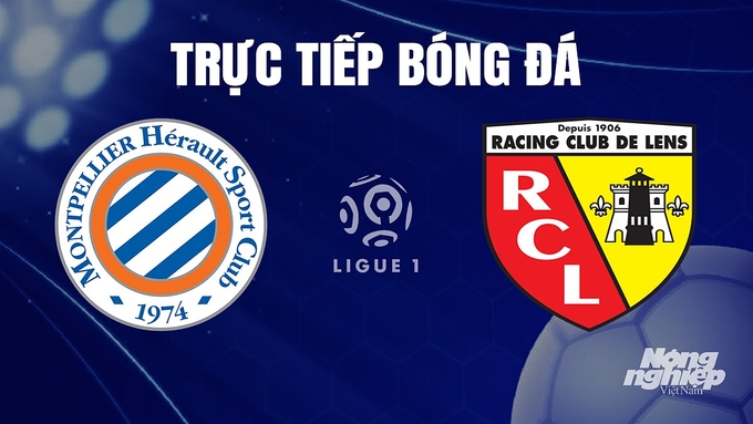 Trực tiếp bóng đá Ligue 1 (VĐQG Pháp) 2023/24 giữa Montpellier vs Lens hôm nay 9/12/2023