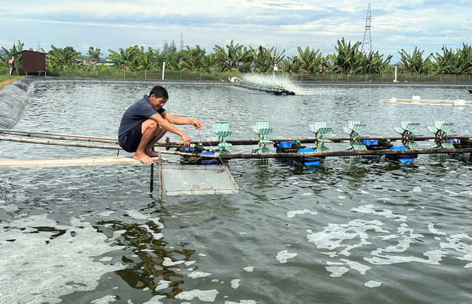 In the long term, on the path of sustainable aquaculture development, farmers need to invest in intensive farming and high-tech farming models to effectively control diseases. Photo: Thanh Nga.