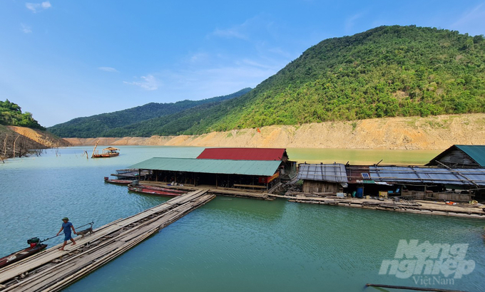 Được nuôi trong điều kiện phù hợp, diện tích mặt nước đủ lớn thì giá trị của chạch lấu mang lại còn ấn tượng hơn nữa. Ảnh: Việt Khánh. 