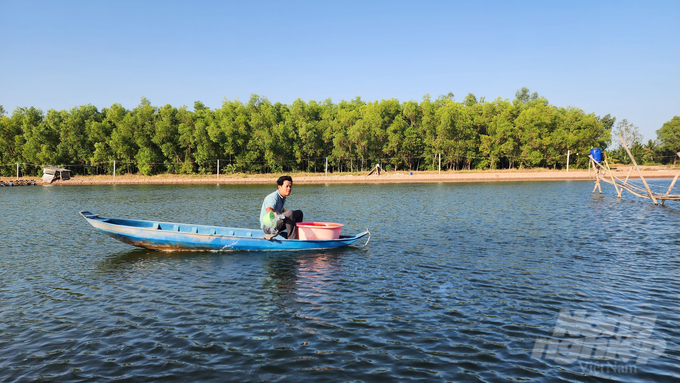 Thời tiết bước vào giai đoạn chuyển mùa, đây là một trong những yếu tố được ngành chuyên môn đánh giá tăng nguy cơ xảy ra dịch bệnh trên tôm nuôi. Ảnh: Kiều Trang.