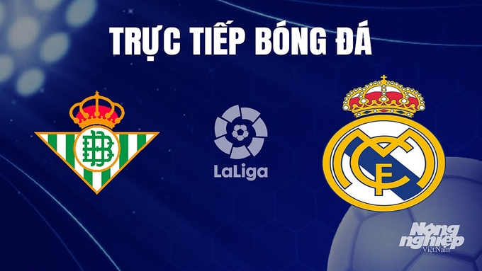 Trực tiếp bóng đá La Liga 2023/24 giữa Real Betis vs Real Madrid hôm nay 9/12/2023