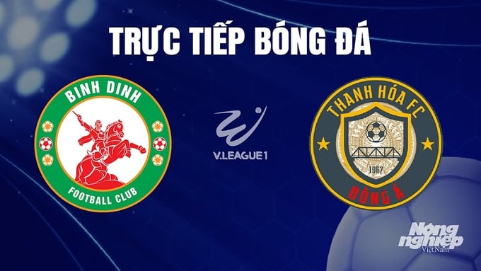 Trực tiếp bóng đá V-League 2023 giữa Bình Định vs Thanh Hóa hôm nay 9/12/2023