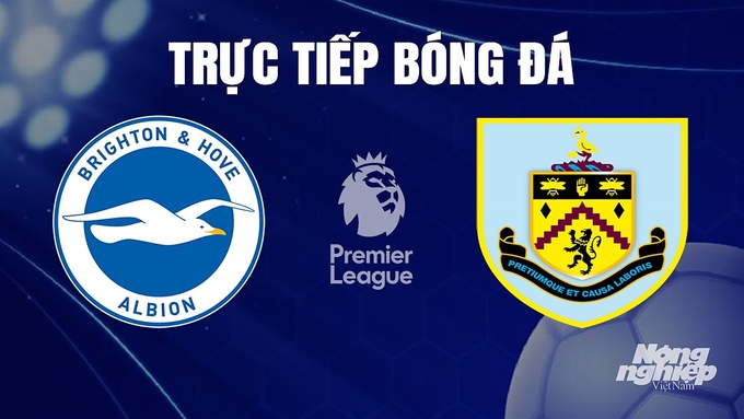 Trực tiếp bóng đá Ngoại hạng Anh giữa Brighton vs Burnley hôm nay 9/12/2023