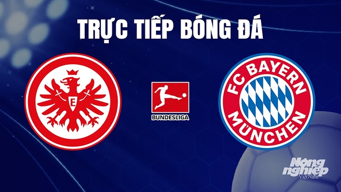 Trực tiếp bóng đá Bundesliga (VĐQG Đức) 2023/24 giữa Eintracht Frankfurt vs Bayern Munich hôm nay 9/12/2023