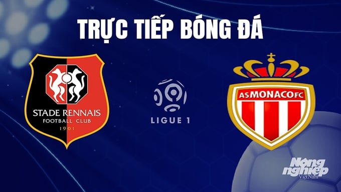 Trực tiếp bóng đá Ligue 1 (VĐQG Pháp) 2023/24 giữa Rennes vs Monaco hôm nay 9/12/2023