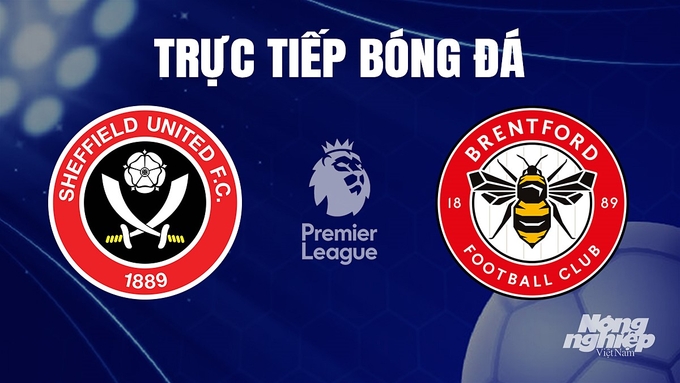 Trực tiếp bóng đá Ngoại hạng Anh giữa Sheffield United vs Brentford hôm nay 9/12/2023