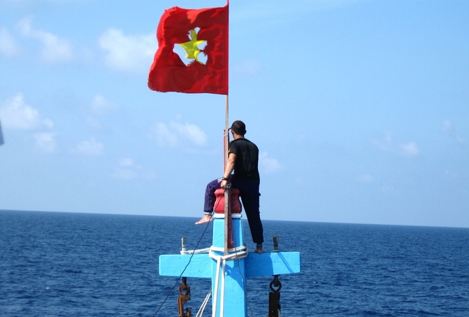 Thuyền trưởng tàu cá BĐ 94439 TS leo lên trụ gỗ cao phía trước mũi tàu để phóng tầm mắt ra xa nhìn bao quát mặt biển tìm cây trôi. Ảnh: V.Đ.T.