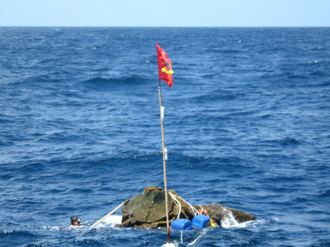 Khi phát hiện có khúc cây trôi trên biển, ngư dân liền bơi ra cột vào khúc cây ấy lá cờ để đánh dấu. Ảnh: V.Đ.T.