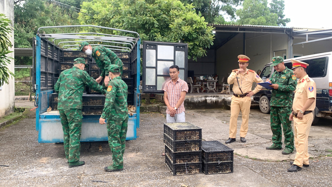 Đồn Biên phòng Bắc Sơn (Bộ đội Biên phòng tỉnh Quảng Ninh) phối hợp với Đội CSGT số 3, Phòng CSGT (Công an tỉnh Quảng Ninh) bắt giữ vụ vận chuyển 18.000 con gà giống không rõ nguồn gốc.