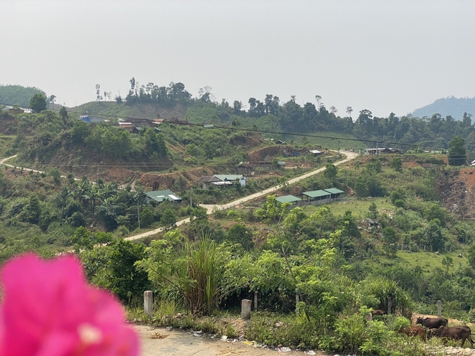 Sơn Bua là xã miền núi có tỷ lệ hộ nghèo cao thứ 2 của huyện Sơn Tây (Quảng Ngãi). Ảnh: L.K.