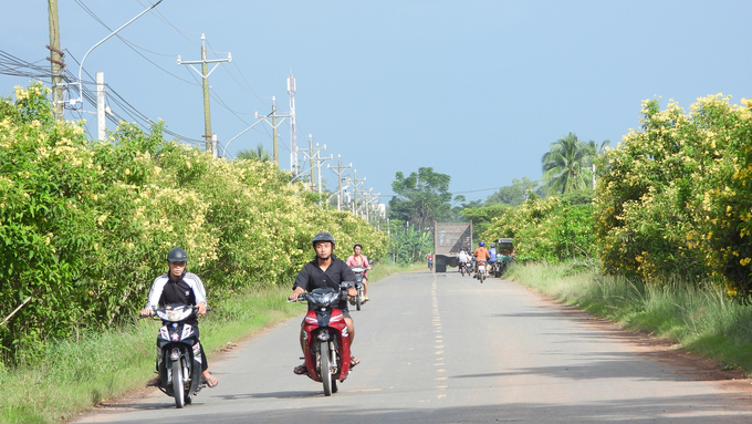 Diện mạo nông thôn xã Phước Ninh đổi thay từng ngày. Ảnh: Trần Trung.