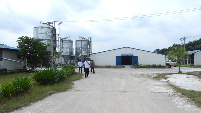 Right from an early age, Binh Duong organizes the construction of disease-free facilities and farming areas, focusing on key communes and regions such as Phu Giao district. Photo: Tran Trung.