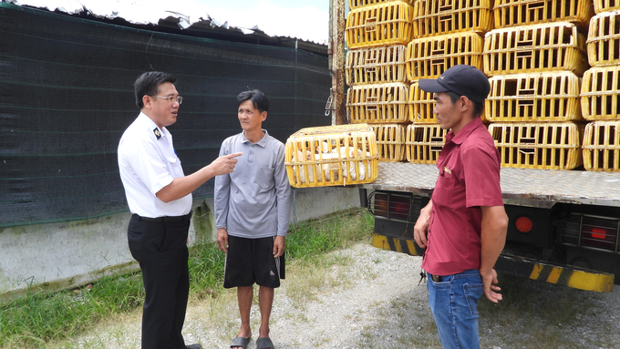 Binh Duong strives to have at least one disease-free area according to the standards of the World Organization for Animal Health (WOAH/OIE) by 2030. Photo: Tran Trung.