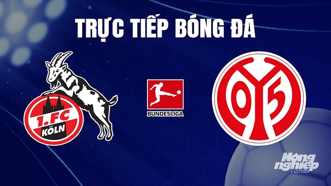 Trực tiếp bóng đá Bundesliga (VĐQG Đức) 2023/24 giữa Koln vs Mainz 05 hôm nay 10/12/2023