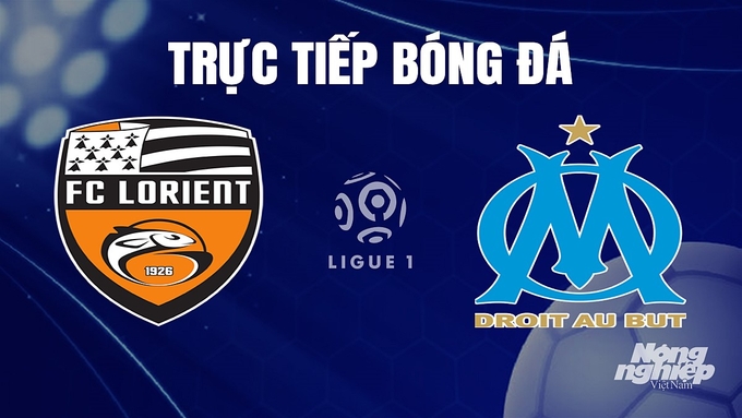 Trực tiếp bóng đá Ligue 1 (VĐQG Pháp) 2023/24 giữa Lorient vs Marseille hôm nay 11/12/2023