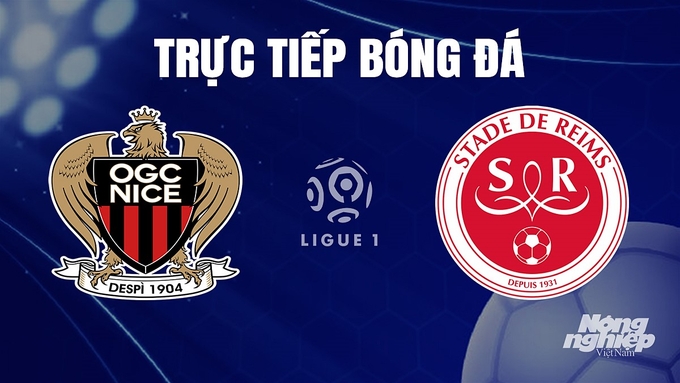 Trực tiếp bóng đá Ligue 1 (VĐQG Pháp) 2023/24 giữa Nice vs Reims hôm nay 10/12/2023