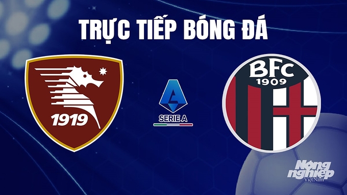 Trực tiếp bóng đá Serie A 2023/24 giữa Salernitana vs Torino ngày 11/12/2023