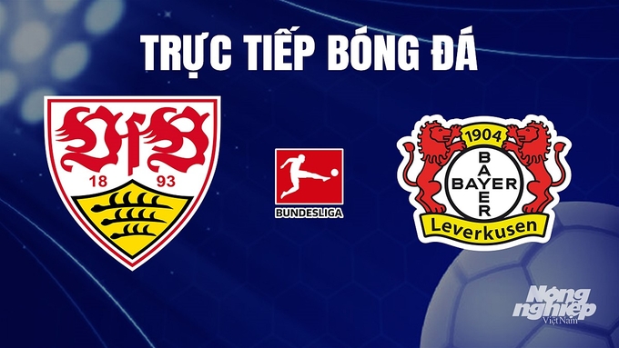 Trực tiếp bóng đá Bundesliga 2023/24 giữa Stuttgart vs Bayer Leverkusen hôm nay 10/12/2023