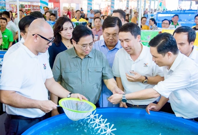 Thủ tướng Phạm Minh Chính cùng lãnh đạo tỉnh Cà Mau tham quan bể nuôi tôm của Công ty GrowMax. Ảnh: Trọng Linh.