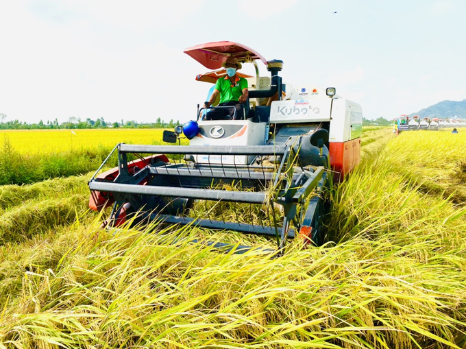 Có nhiều tiến bộ kỹ thuật trong canh tác lúa đang được người dân áp dụng phổ biến xuất phát từ các công trình nghiên cứu. Ảnh: TL.