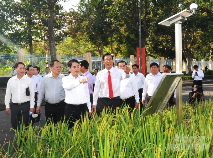 Các đại biểu tham quan mô hình canh tác lúa thông minh với trạm quan trắc mực nước và giám sát sâu rầy tự động, được tái hiện tại Con đường lúa gạo Việt Nam. Ảnh: Trung Chánh.