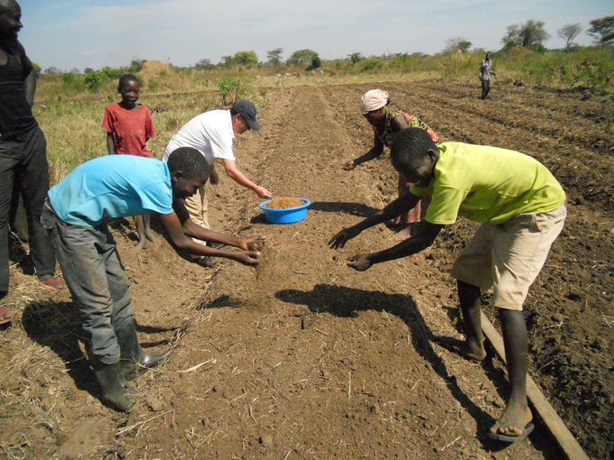 Hợp tác Nam - Nam và hợp tác ba bên đang giúp nông dân Uganda nâng cao năng suất lúa. Ảnh: FAO.