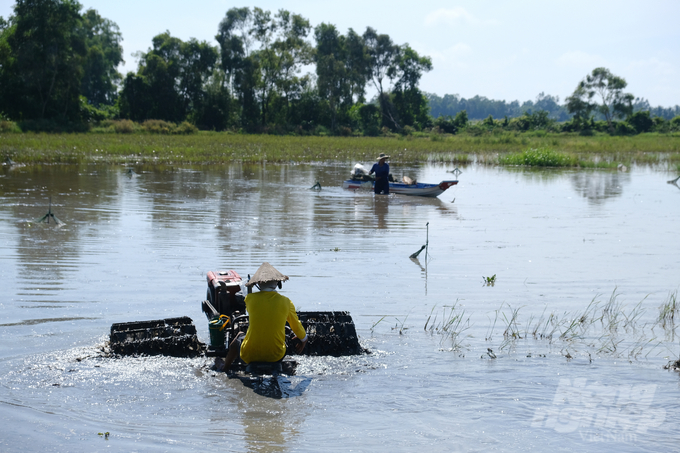 Cánh đồng Hậu Giang mùa nước nổi. Ảnh: K.Trung.