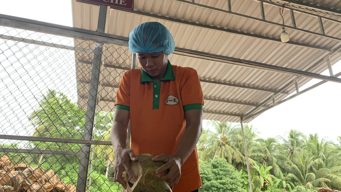 Fresh coconut processing businesses in Tra Vinh are also encouraged to develop. Photo: Ho Thao.