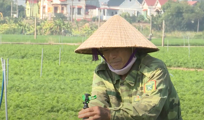 Hai Duong also determined to develop only the production of crops that truly enriched farmers.