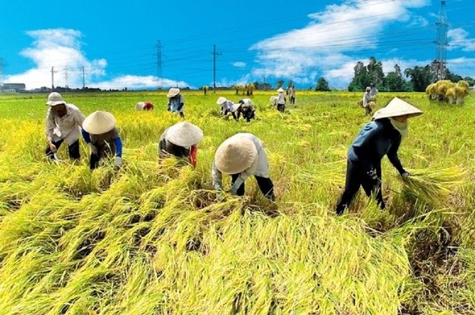 Vietnamese farmers are expected to become more professional and knowledgeable over the next ten years.