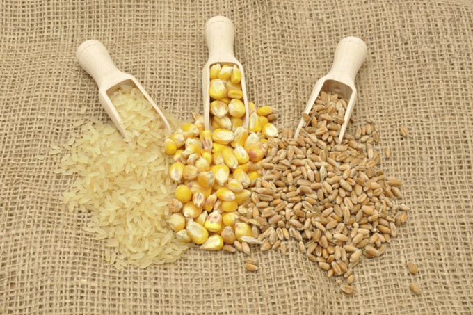 International prices of coarse grains dropped by 5.6% in November, led by a sharp fall in corn prices, while wheat prices declined by 2.4%, the FAO said. Its All-Rice Price Index remained stable month-on-month amidst contrasting price movements across different origins and market segments.