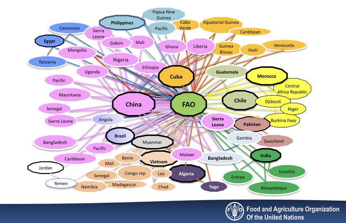 Hơn nửa chuyên gia trong mạng lưới FAO là nhà khoa học Trung Quốc.